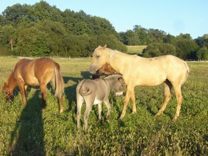 S Bob�em a Mat�skem.